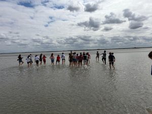 IMG-20260910-WA0005